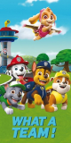 Osuška Paw Patrol Team 70/140